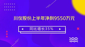 川儀股份上半年業績穩健增長 凈利同比增35%至9550萬元，技術咨詢業務成為新亮點